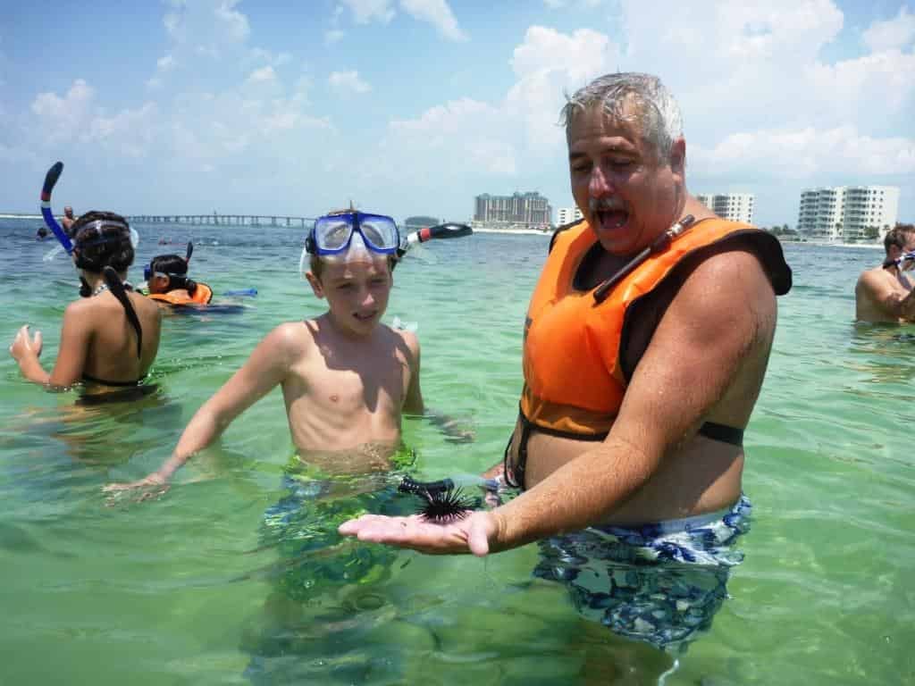 Destin-Snorkeling-and-Shelling-Excursion-Aboard-Harbor-Lady