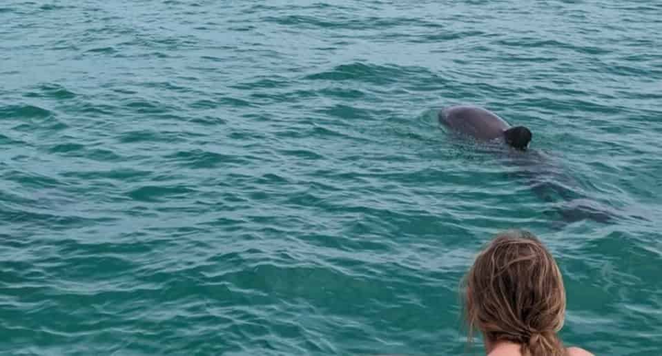 All-Inclusive-Captained-Pontoon-Charter-with-Destin-Pontoon-Charters