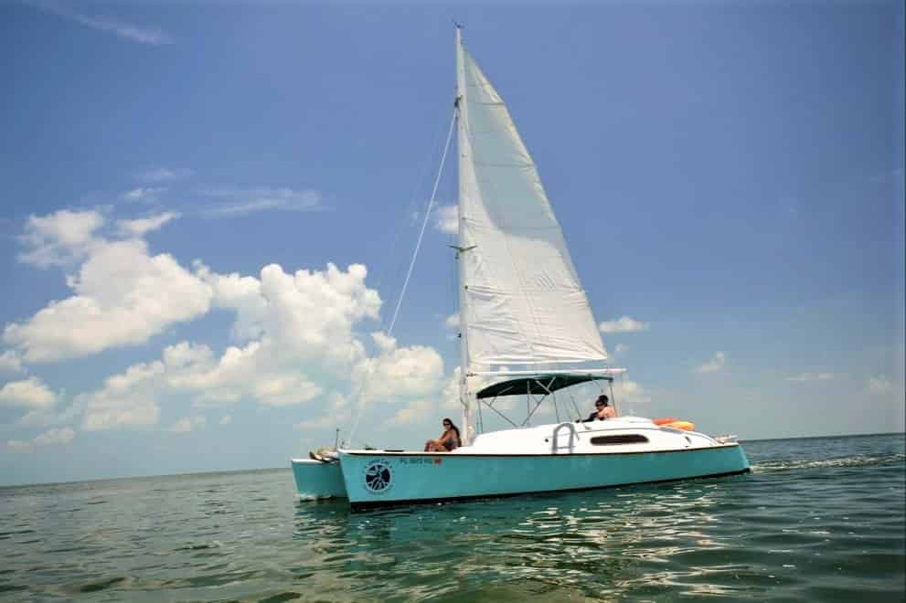 Java-Cat-Sail-Kayak-and-Snorkel-Half-Day-Eco-Tour-with-Key-West-Eco-Tours