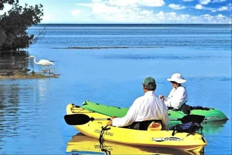 Guided-Backcountry-Paddle-Tour-with-Key-West-Eco-Tours