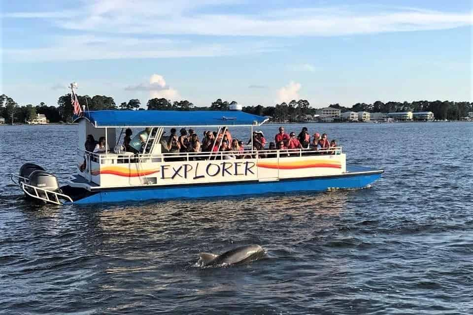 dolphin tours orange beach fl