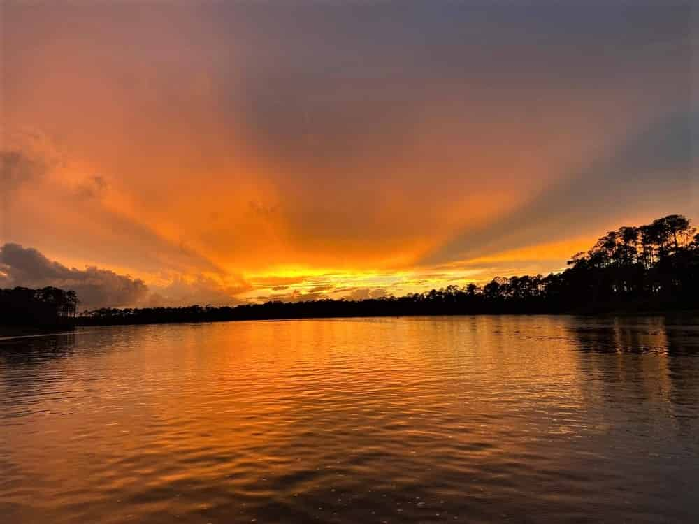 Dolphin-and-Nature-Sunset-Cruise-On-the-Explorer-Orange-Beach