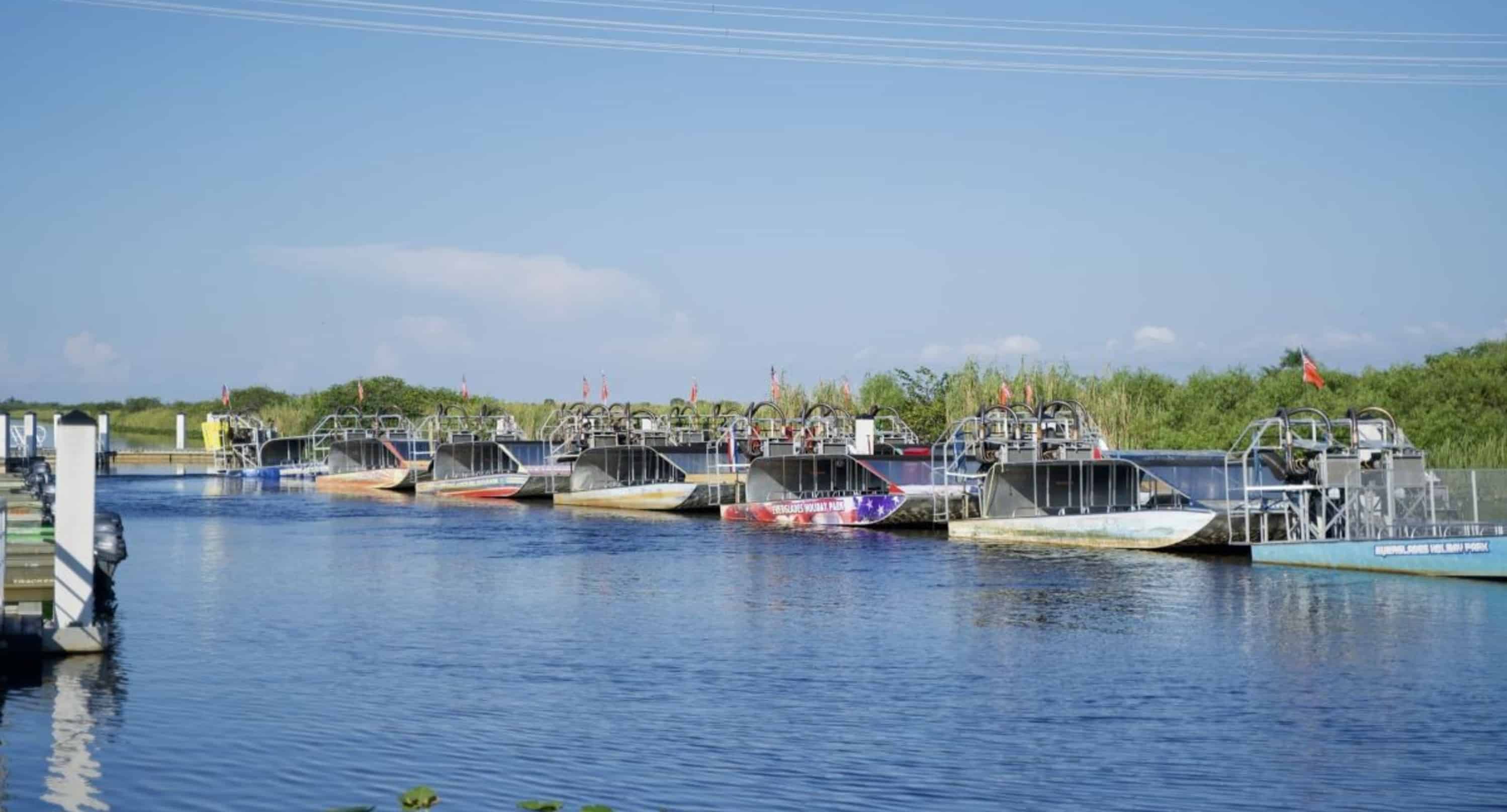 Morning-Everglades-Airboat-Excursion-with-Transportation-by-Gray-Line-Miami