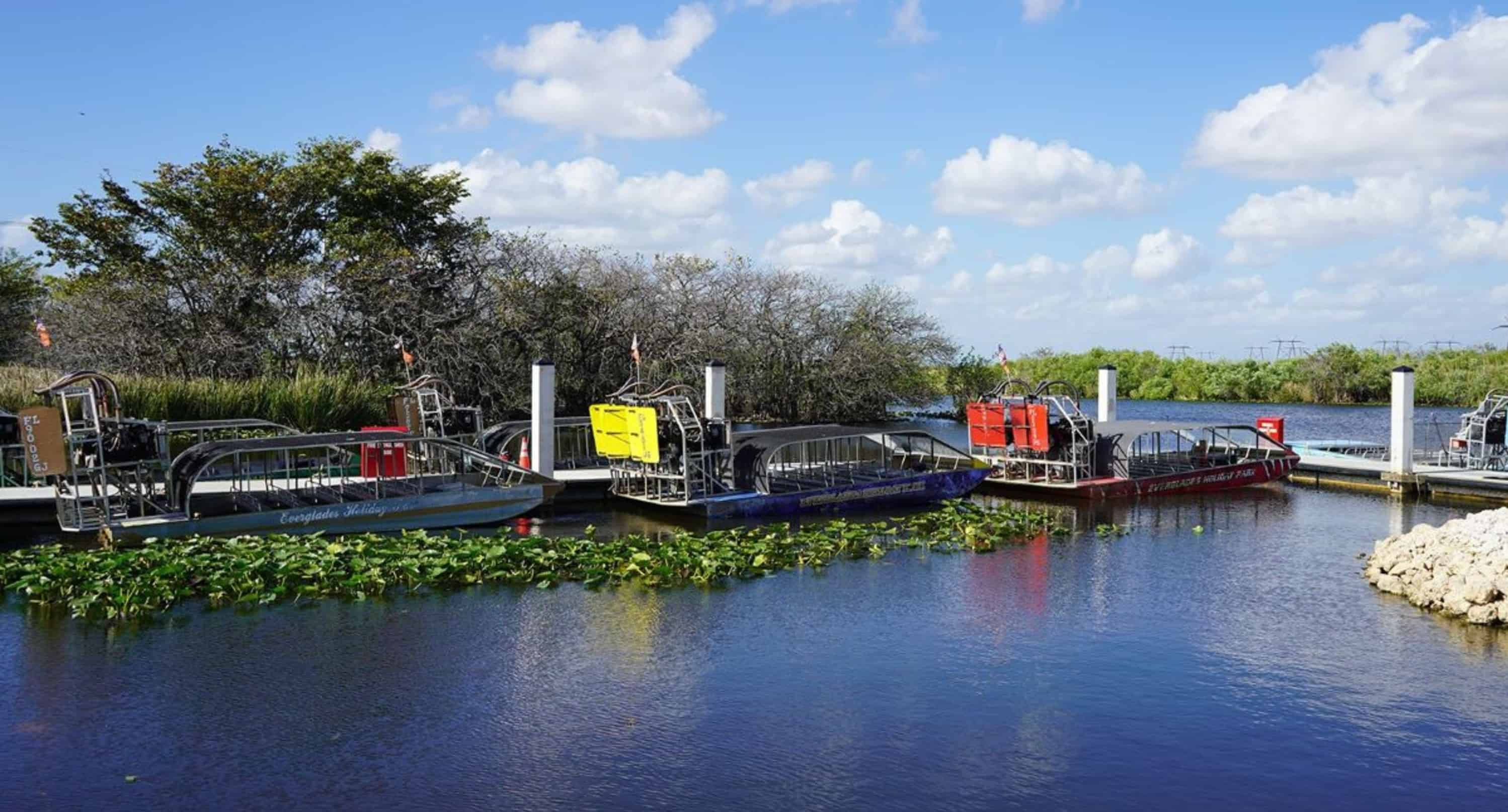 Morning-Everglades-Airboat-Excursion-with-Transportation-by-Gray-Line-Miami