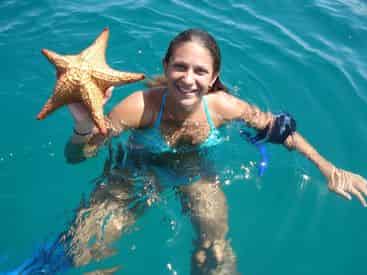4 Hour Shell Island Dolphin Swim Experience