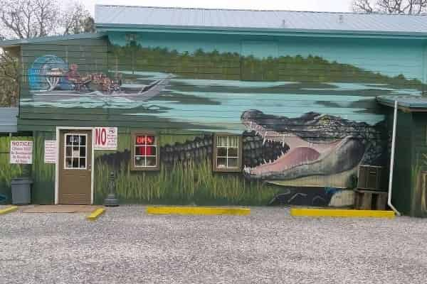 Airboat-Swamp-Tour-with-Gulf-Coast-Gator-Ranch