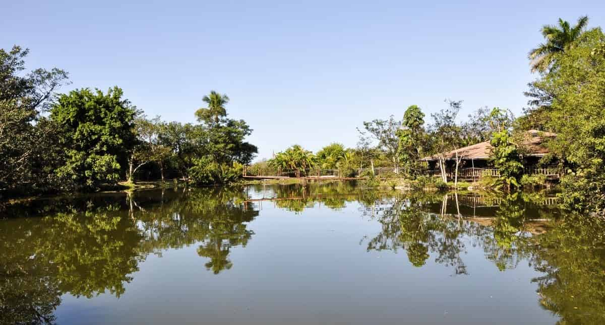 Biscayne-Bay-Boat-Tour-and-Everglades-Airboat-Excursion-by-Gray-line-Miami