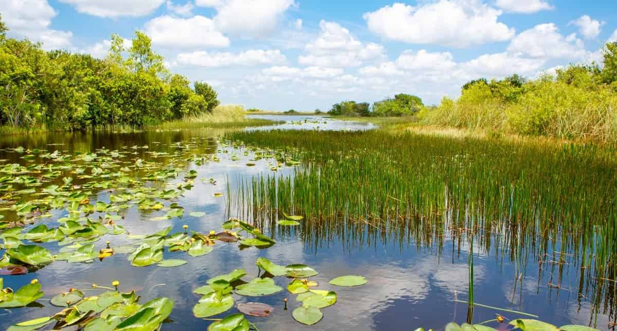 Biscayne-Bay-Boat-Tour-and-Everglades-Airboat-Excursion-by-Gray-line-Miami