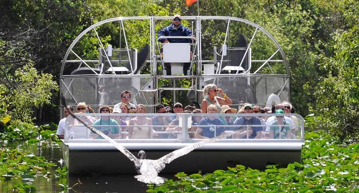 Biscayne-Bay-Boat-Tour-and-Everglades-Airboat-Excursion-by-Gray-line-Miami