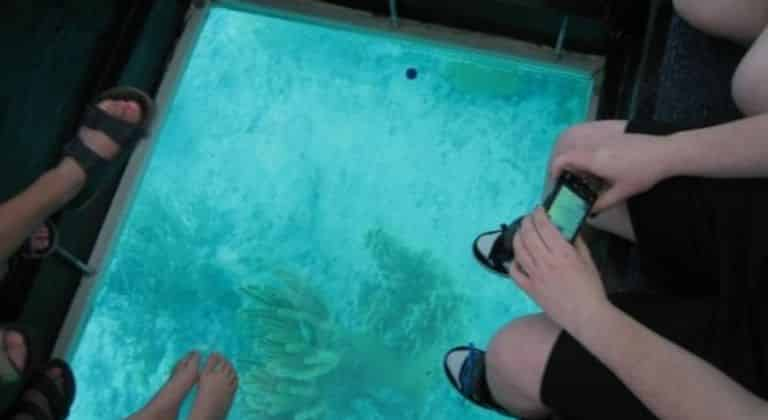 glass bottom boat key largo florida