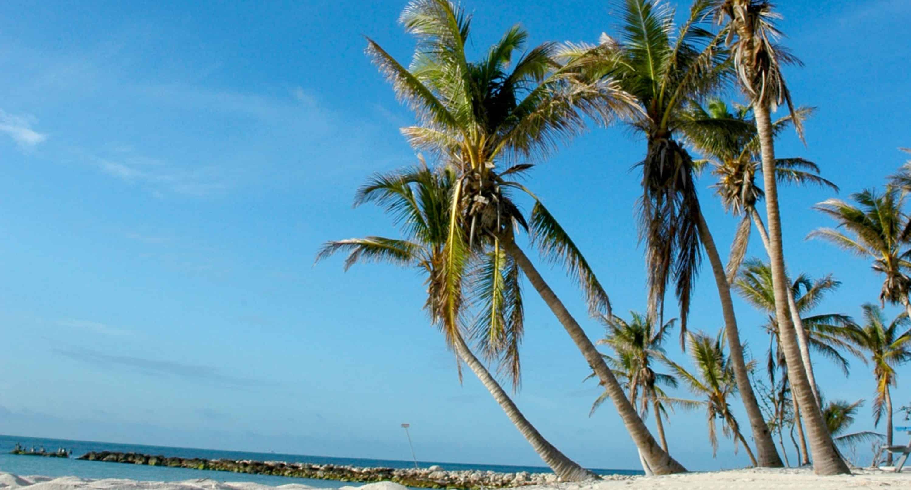 Key-West-Overnight-Trip-with-Gray-Line-Miami