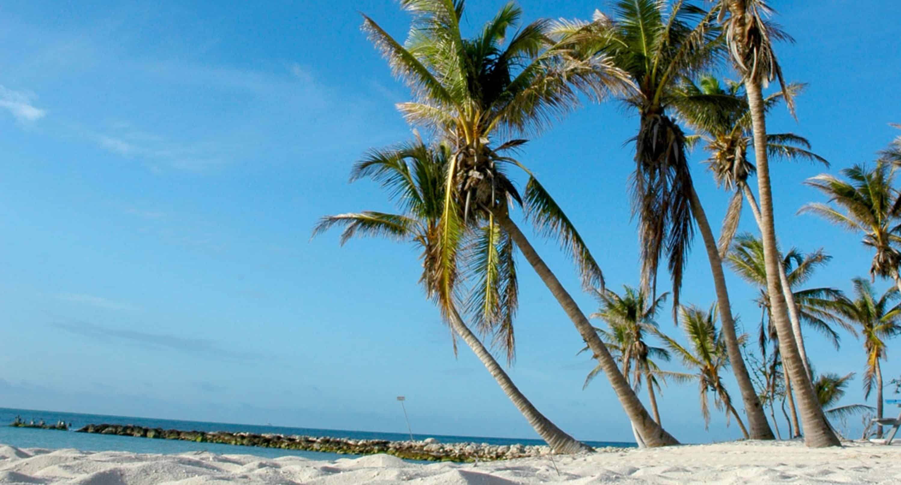 Day-Trip-to-Key-West-and-Trolley-Tour-from-Miami-by-Gray-Line-Miami