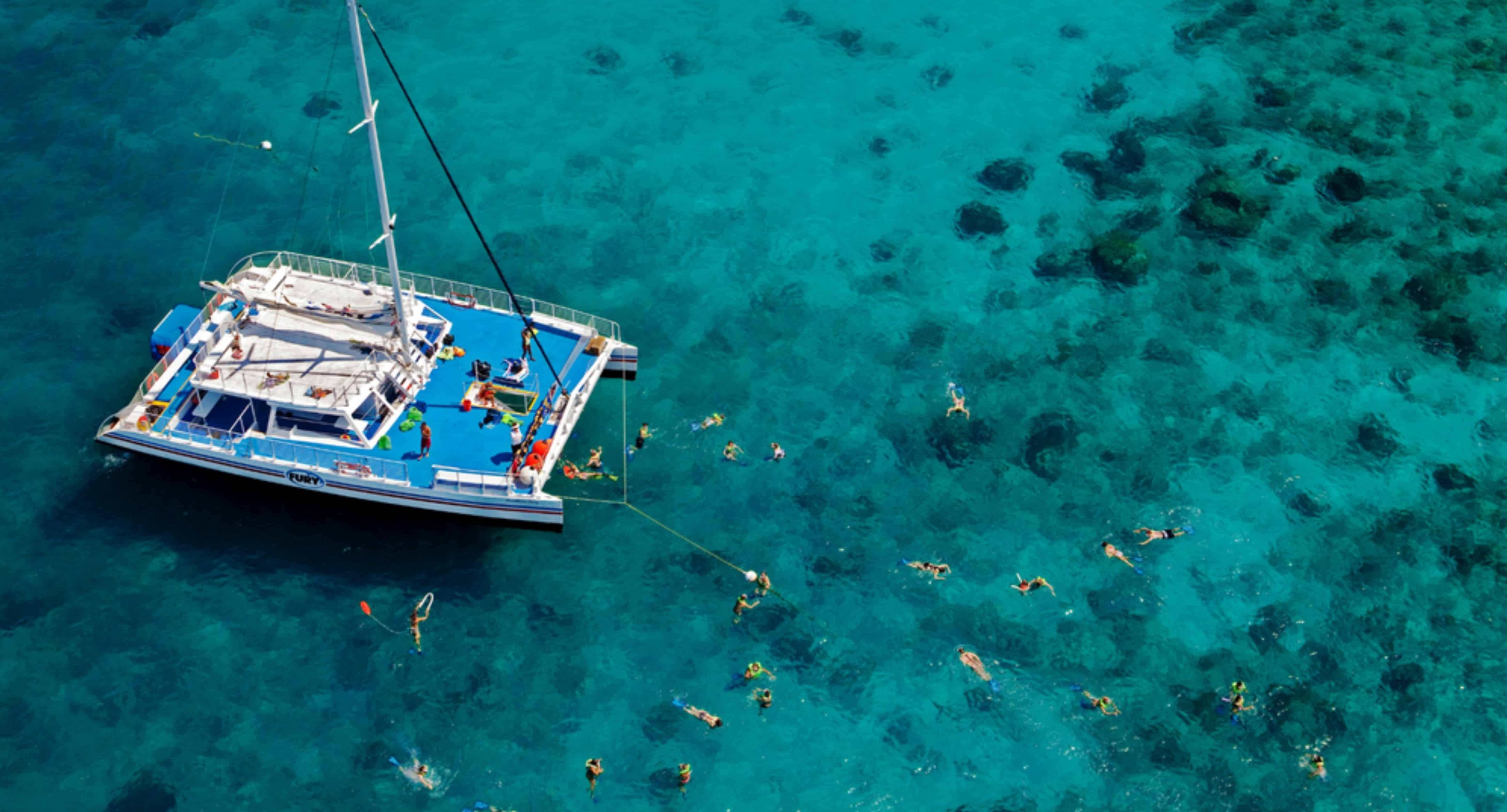 Morning-Reef-Snorkel-Tour