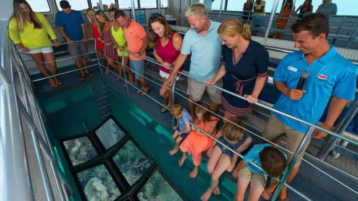 Glass-Bottom-Boat-Reef-and-Eco-Tour