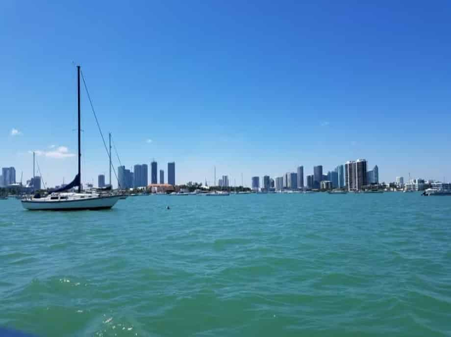 90-Minute-Amphibious-Duck-Tour-of-South-Beach