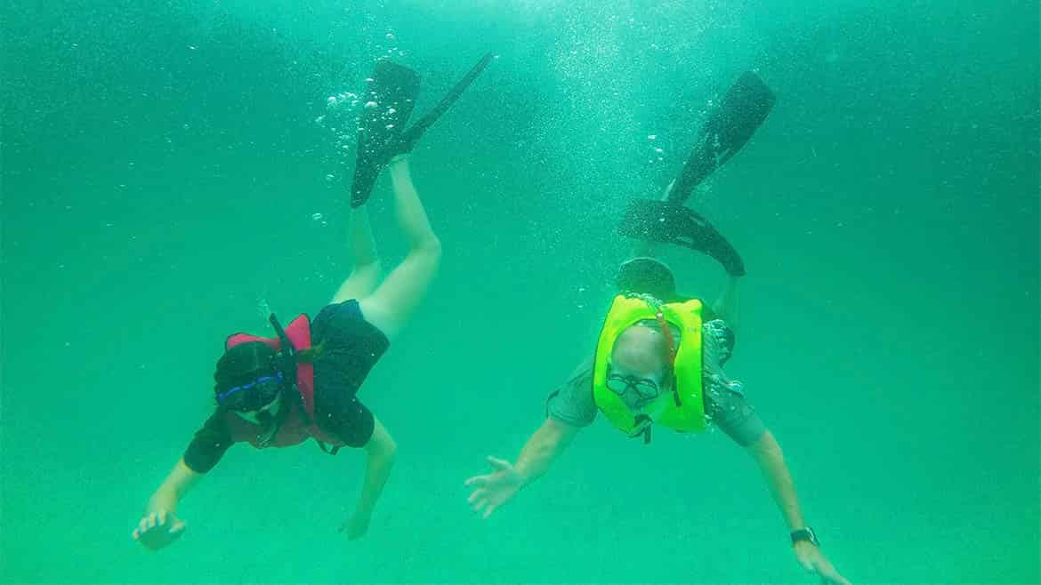 Artificial-Reef-Guided-Snorkel-Tour-Grayton-Beach-Turtle-Reef