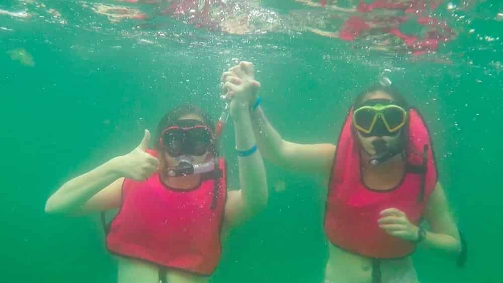 Artificial-Reef-Guided-Snorkel-Tour-Inlet-Beach-Grouper-Reef