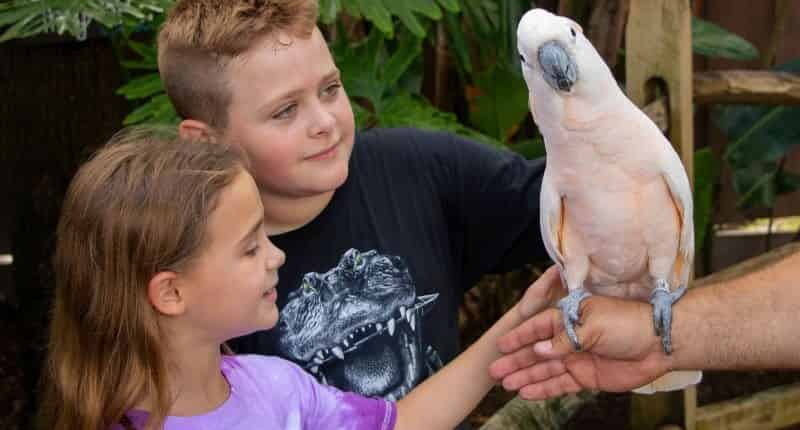 Gatorland-Orlando-Alligator-Capital-of-the-World