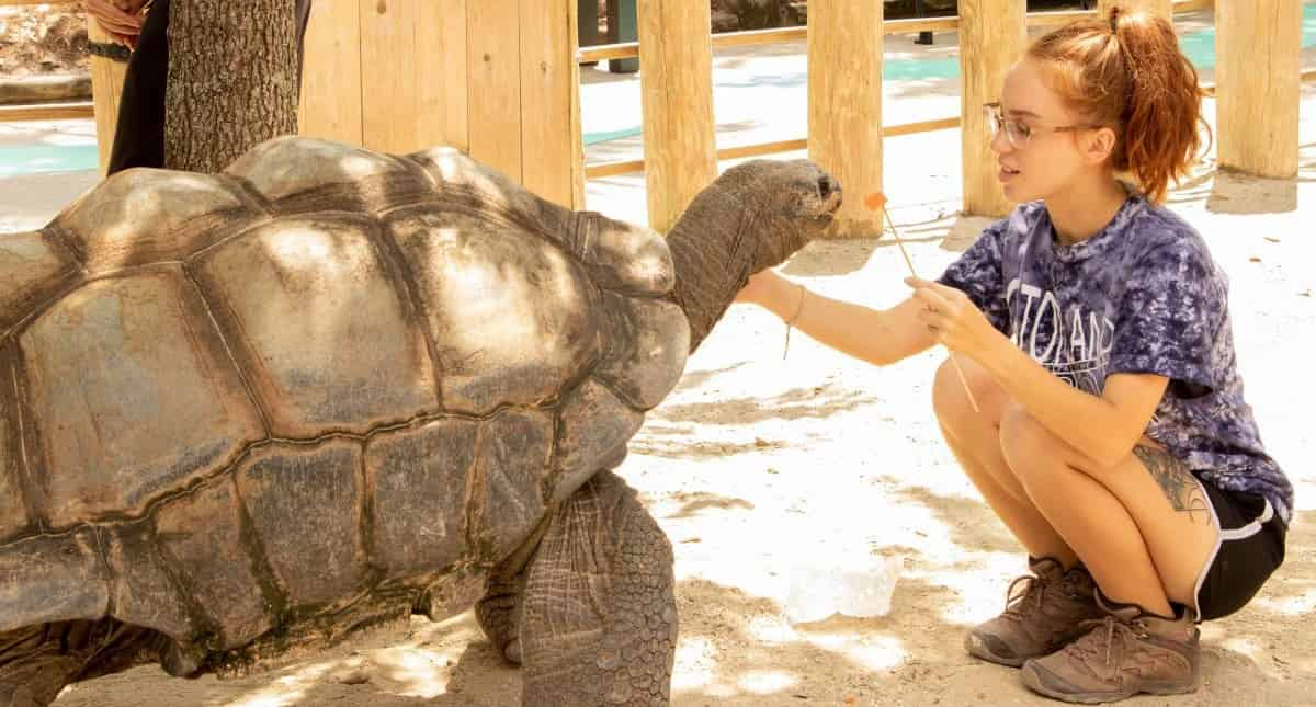 Gatorland-Orlando-Alligator-Capital-of-the-World