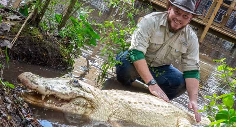 Gatorland-Orlando-Alligator-Capital-of-the-World