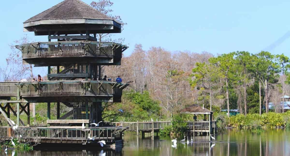 Gatorland-Orlando-Alligator-Capital-of-the-World