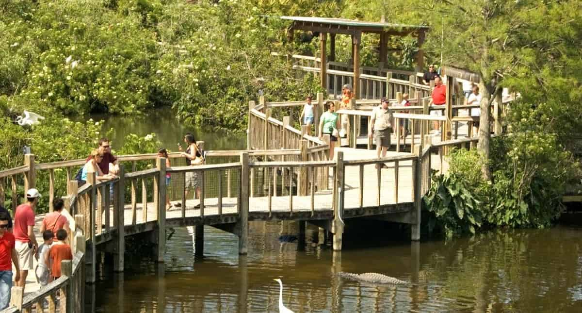 Gatorland-Orlando-Alligator-Capital-of-the-World