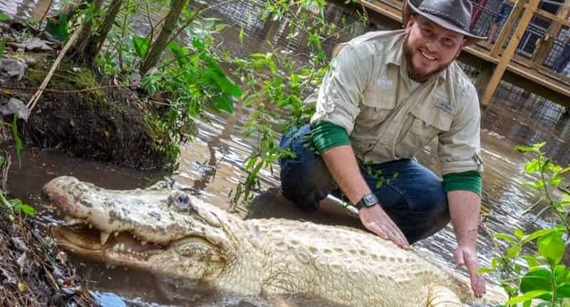 Gatorland-Orlando-Screamin-Gator-Zip-Line