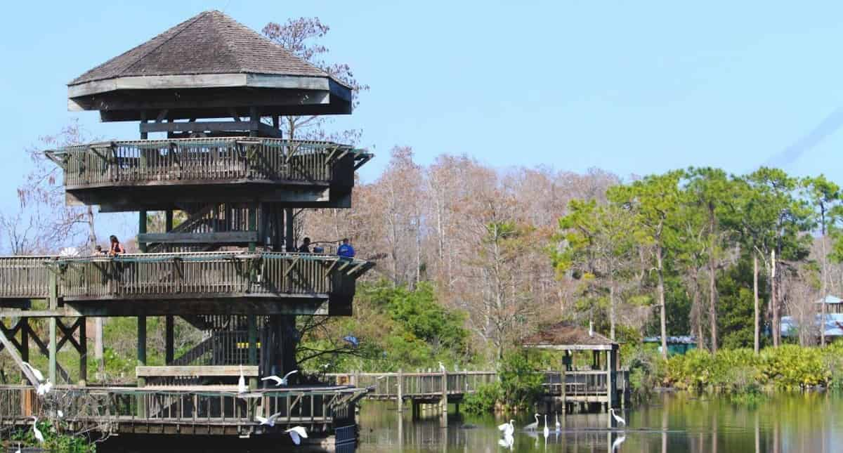 Gatorland-Orlando-Screamin-Gator-Zip-Line