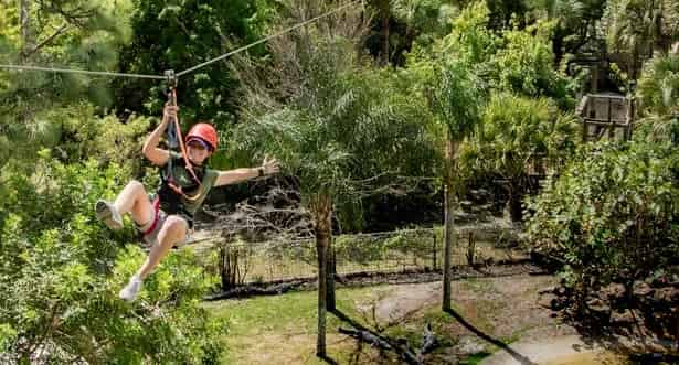 Gatorland-Orlando-Screamin-Gator-Zip-Line