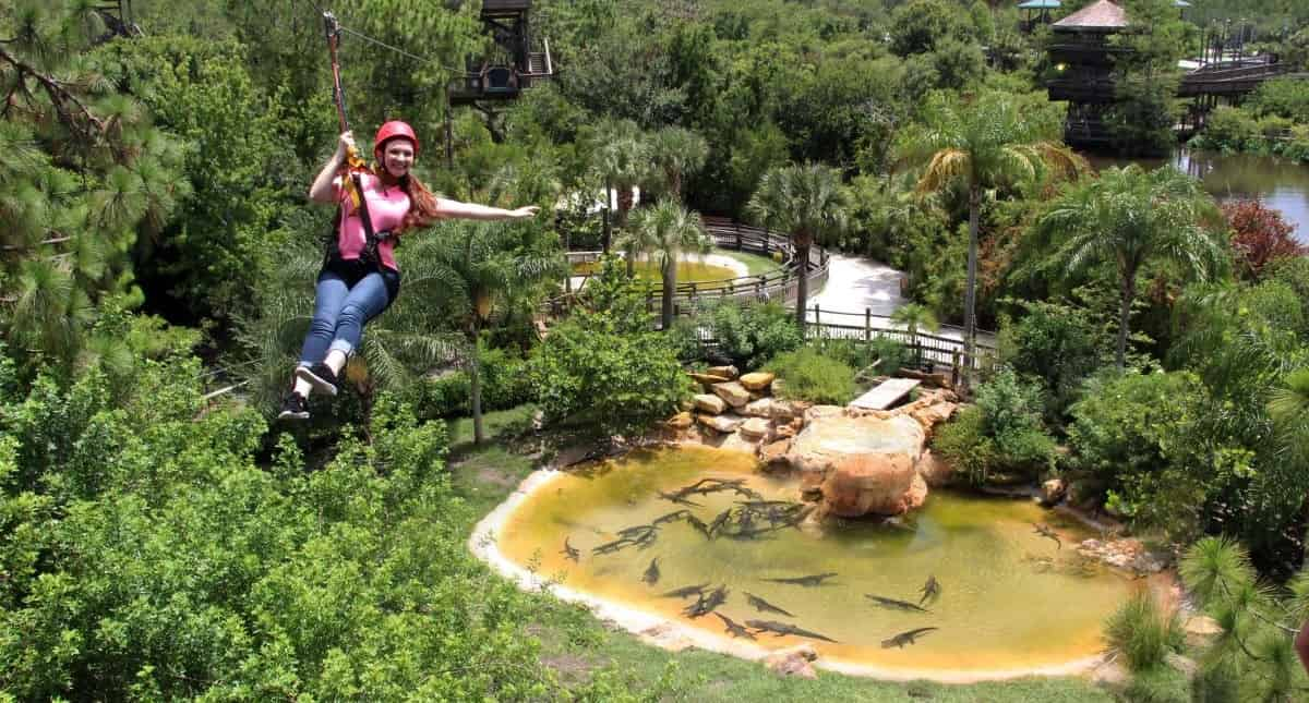 Gatorland-Orlando-Screamin-Gator-Zip-Line