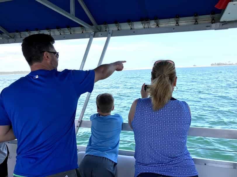 Scenic-Dolphin-Cruise-and-Tour-of-Pensacola-Bay