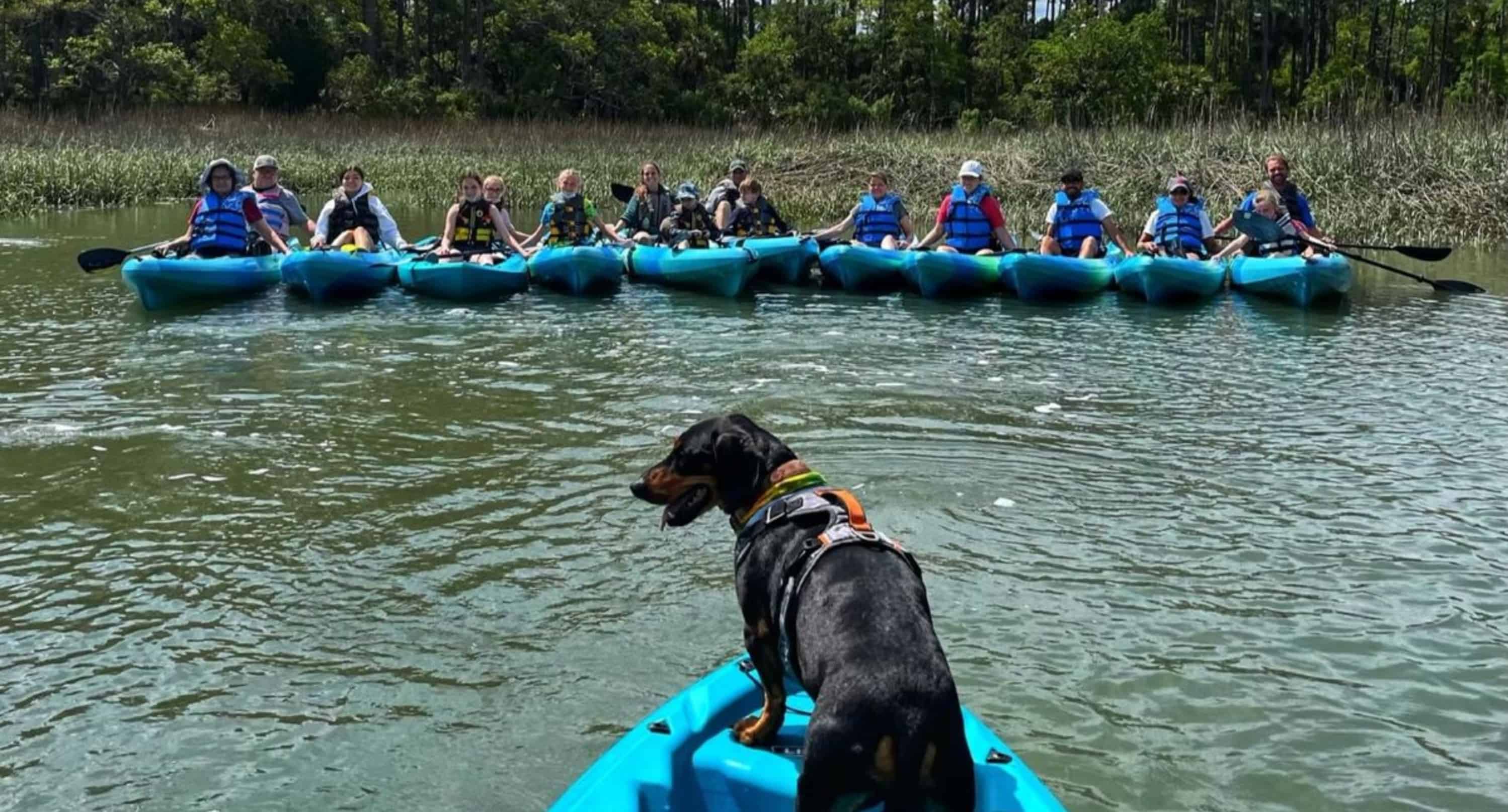 Hilton-Head-Guided-Kayak-Tour