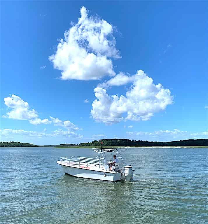Daufuskie Island Ferry and Golf Cart Rental TripShock!