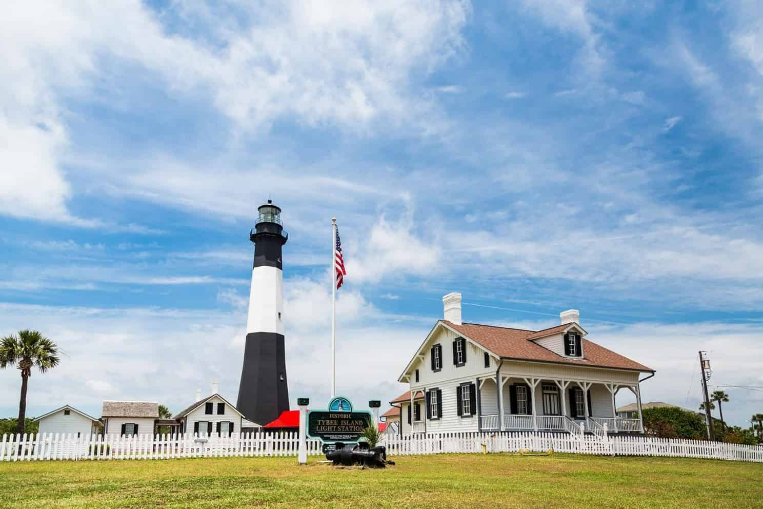 Tybee-Island-Dolphin-Tour