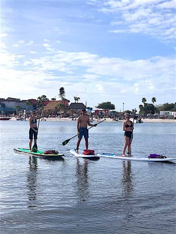 Tampa-Bay-8-Hour-Stand-Up-Paddleboard-Rental