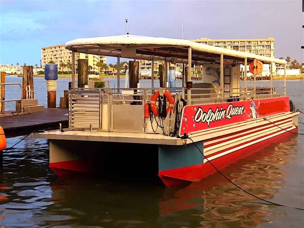 tampa dolphin tours