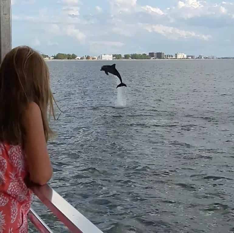 Tampa-Bay-Dolphin-Tour-Aboard-the-Dolphin-Quest