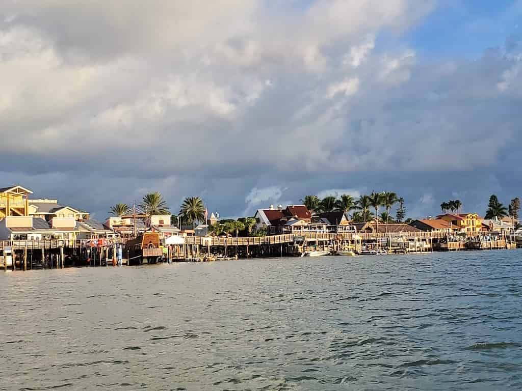 Tampa-Bay-Dolphin-Tour-Aboard-the-Dolphin-Quest