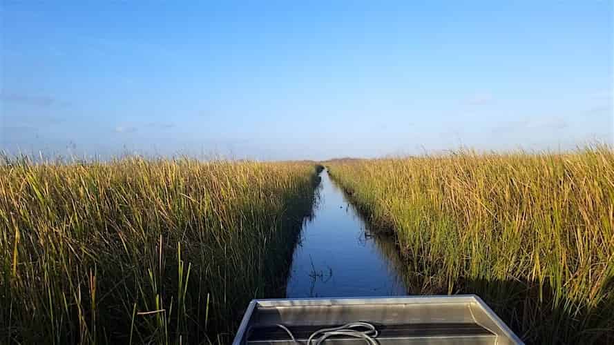 1-Hour-Private-Everglades-Airboat-Tour