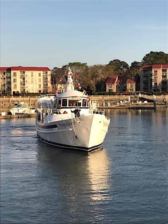 dolphin cruises hilton head