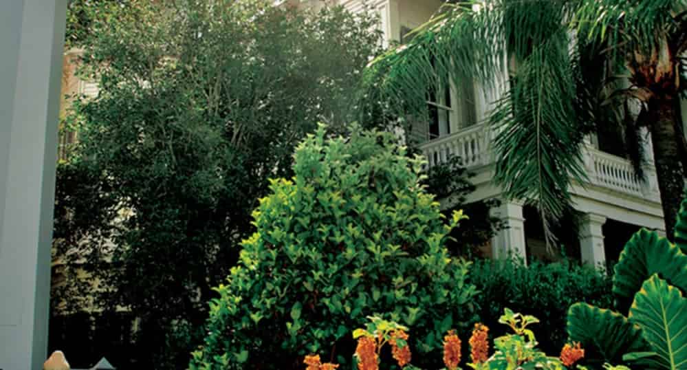 Garden-District-Walking-Tours-in-New-Orleans