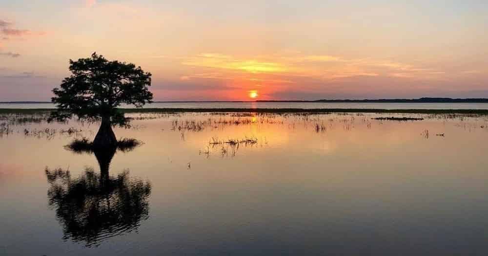 Everglades-Sunset-Airboat-Tour