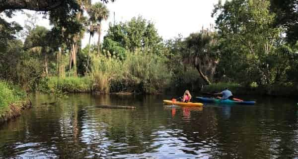 Turkey Creek Kayak Adventure - TripShock!