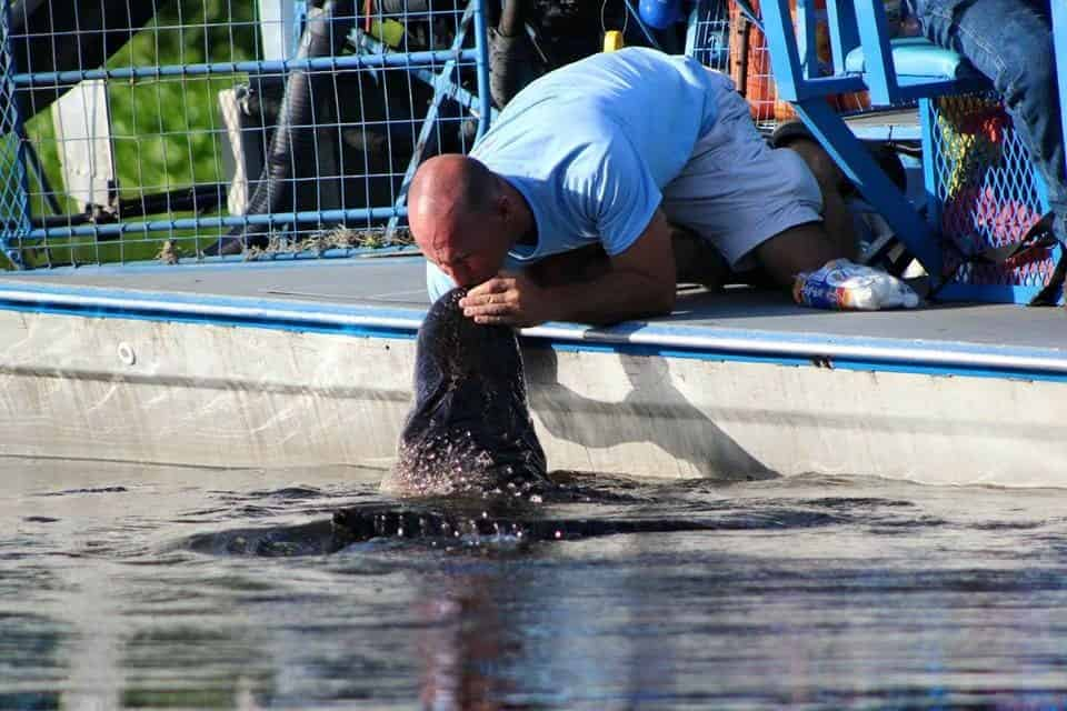 Small-Airboat-Tour