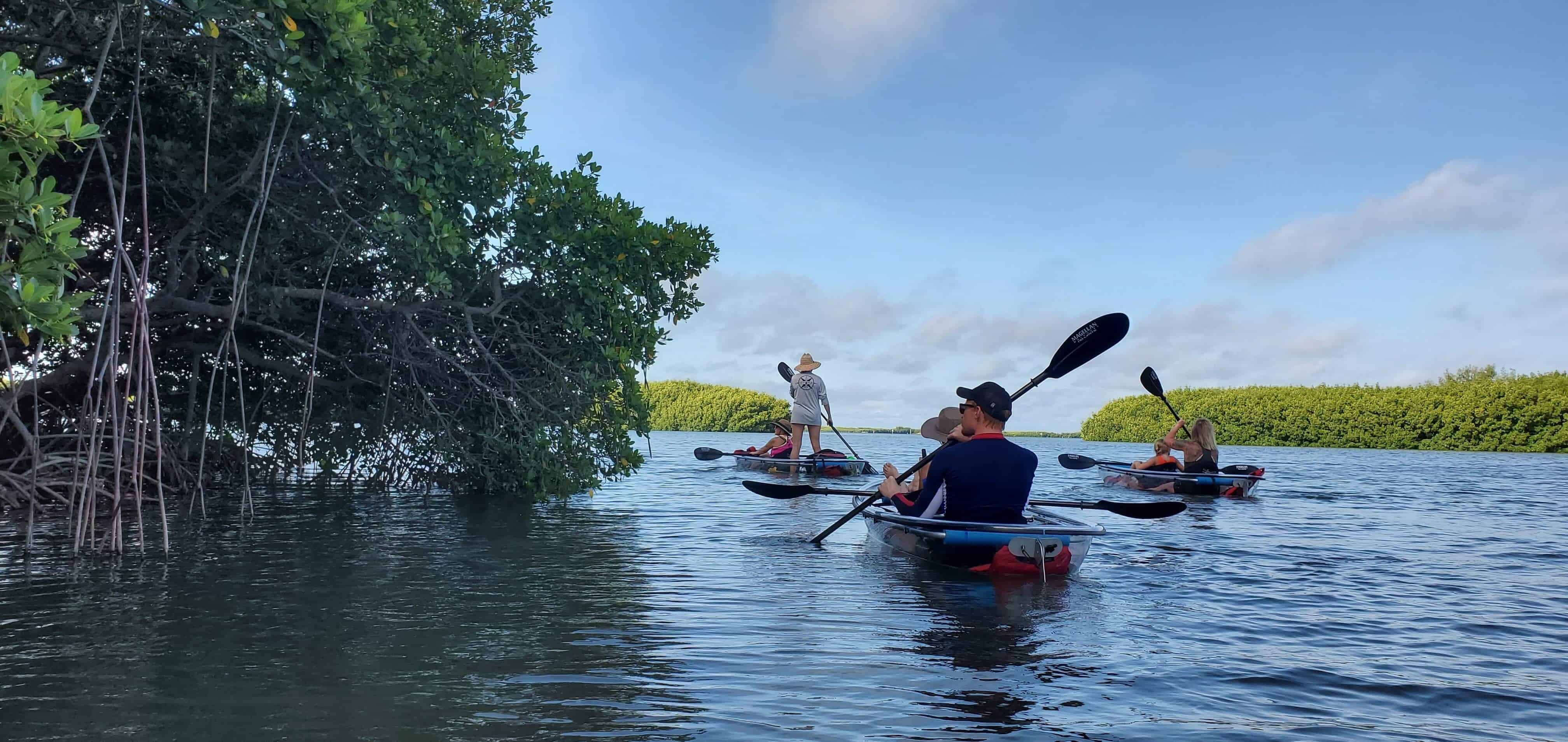 Clear-Kayaking-at-Shell-Key-Preserve