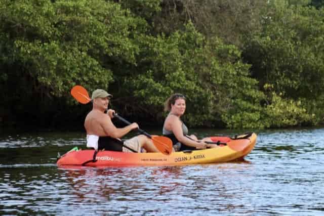Cocohatchee-River-Wiggins-Pass-Guided-Kayak-Tour