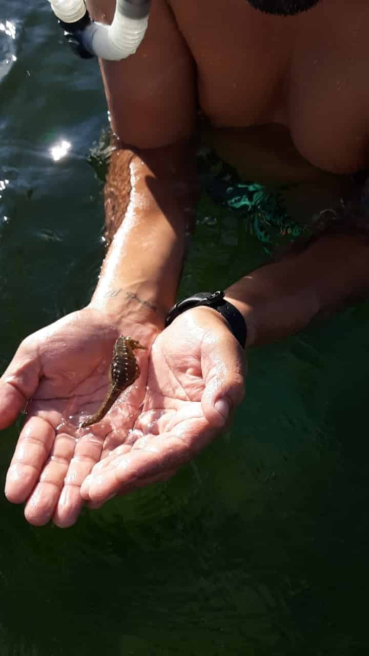 Sandbar-Snorkeling-Excursion