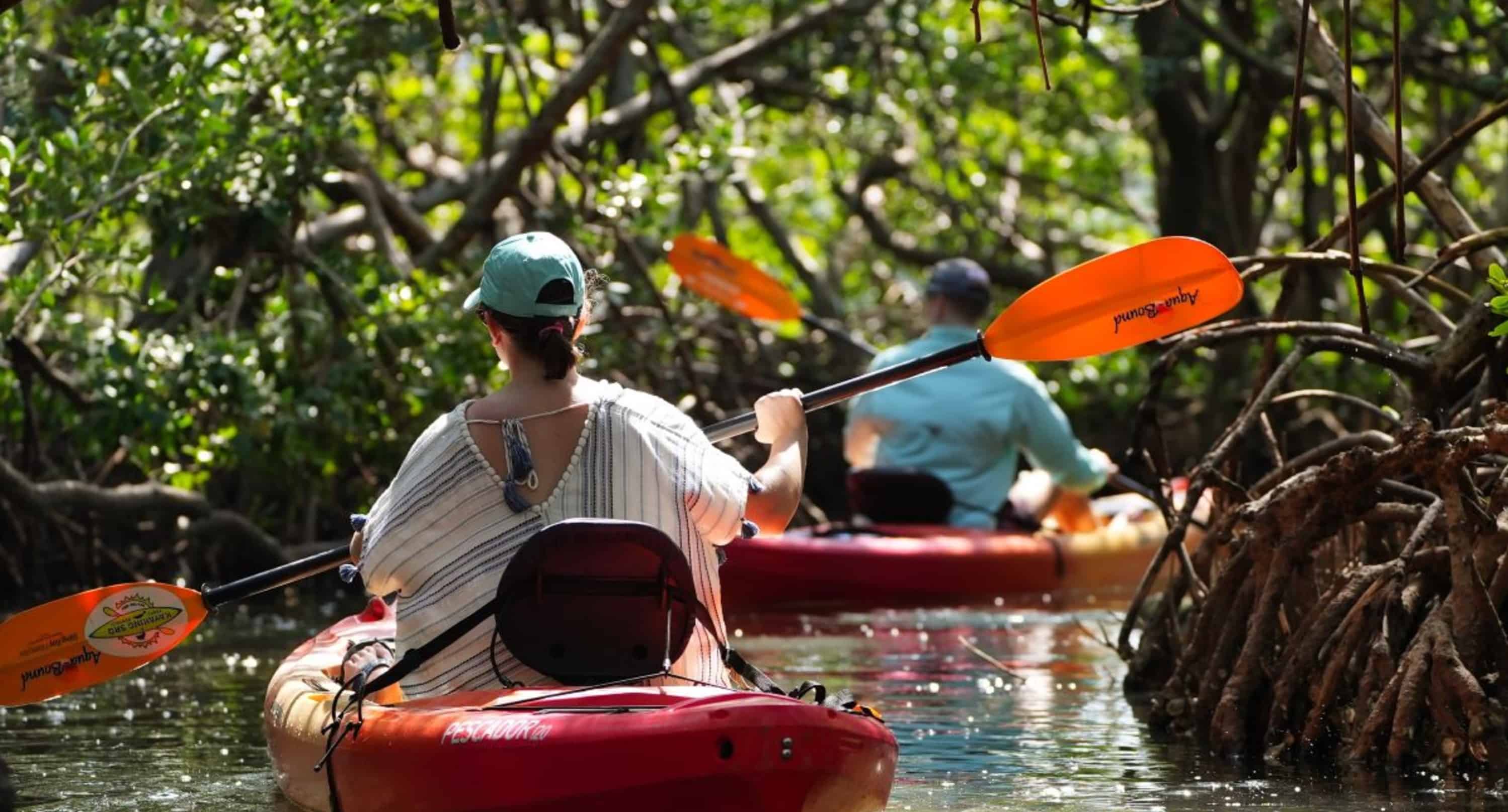 Guided-Kayak-Mangrove-Tunnel-Tour