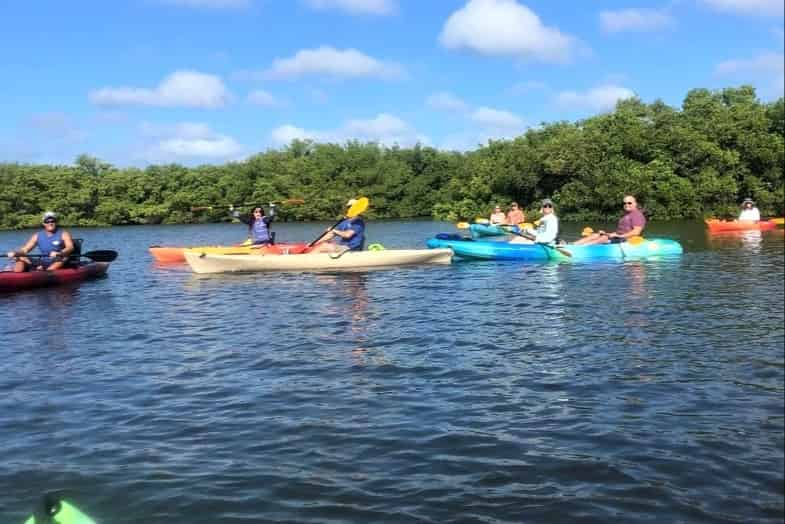 Guided-Kayak-Eco-Tour