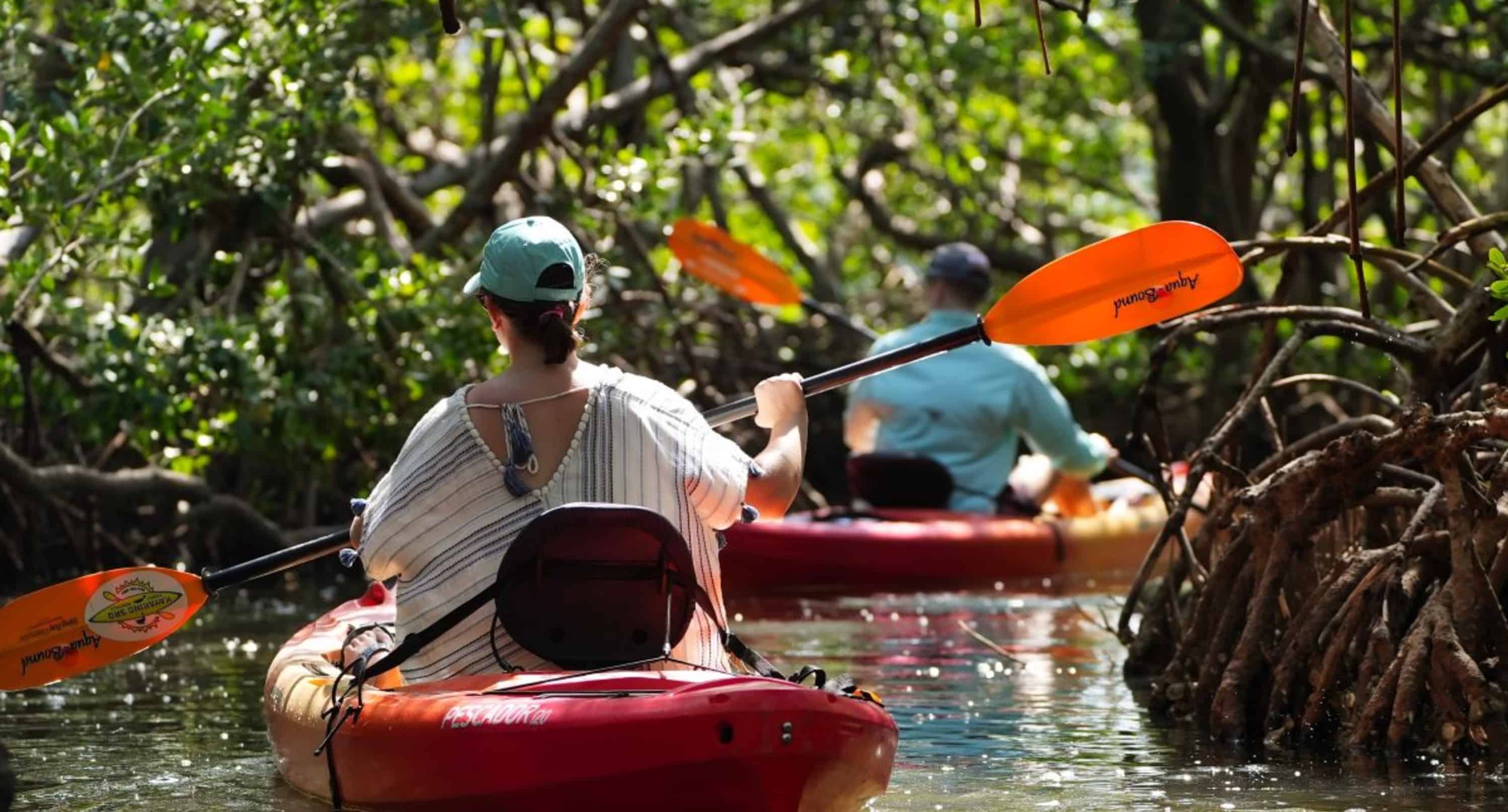 Guided-Kayak-Eco-Tour